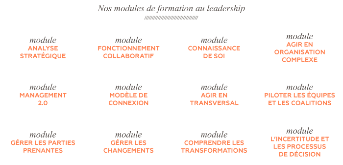 schema-formation-leadership-veliaconsulting